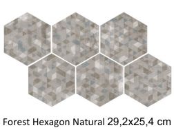 Forest Hexagon Silver 29,2 x 25,4 cm - Floor tiles, hexagonal, aged finish