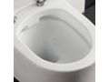 Matt white - Toilet bowl, wall-hung, for WC