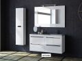 Vanity set __plus__ double washbasin __plus__ mirror - CADIX 2V