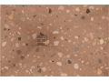 Shower tray, digital printing, terrazzo effect - imaZine terrazzo