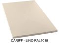 Shower Tray with Ultra-Slim Designer Drain - CARDIFF CENTRAL
